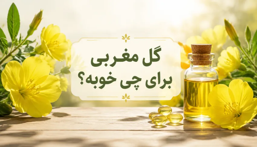 گل مغربی برای چی خوبه